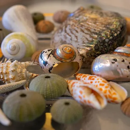 Appartement Meteoron Theasis