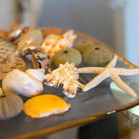 Appartement Meteoron Theasis