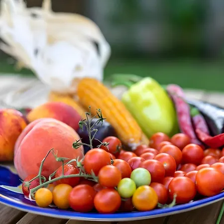 Meteoron Theasis Apartamento