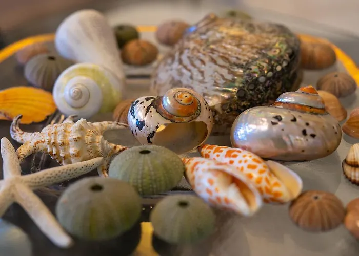 Apartament Meteoron Theasis