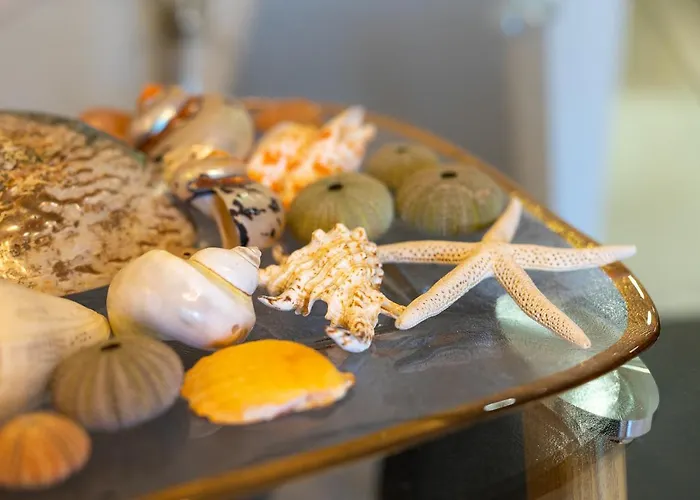 Apartament Meteoron Theasis