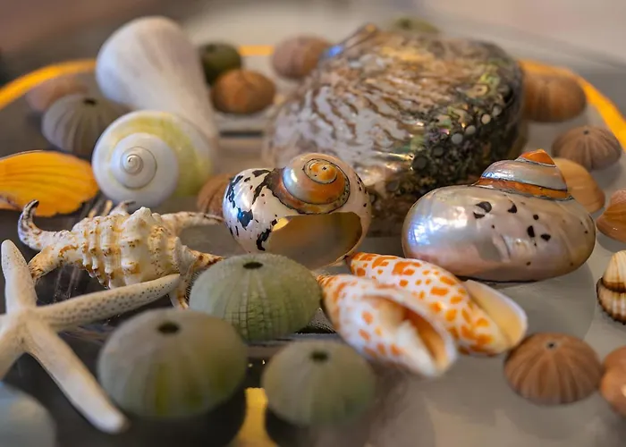 Apartamento Meteoron Theasis